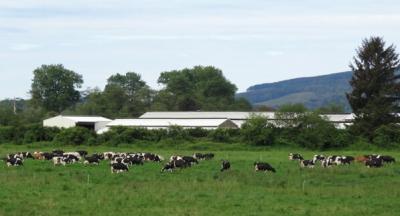 Dairying dominant Tillamook industry