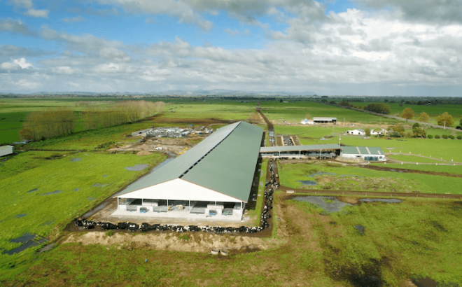 Waikato Dairy Barn System Birds Eye View 2