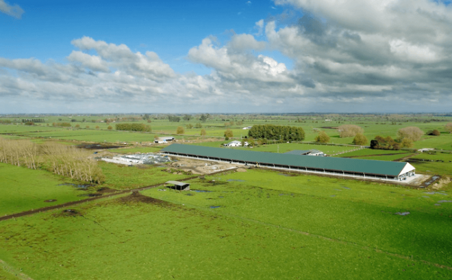 Waikato Dairy Barn System Birds Eye View 23