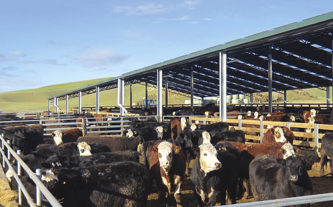 wintering sheds image 6 Dairy Barn Systems