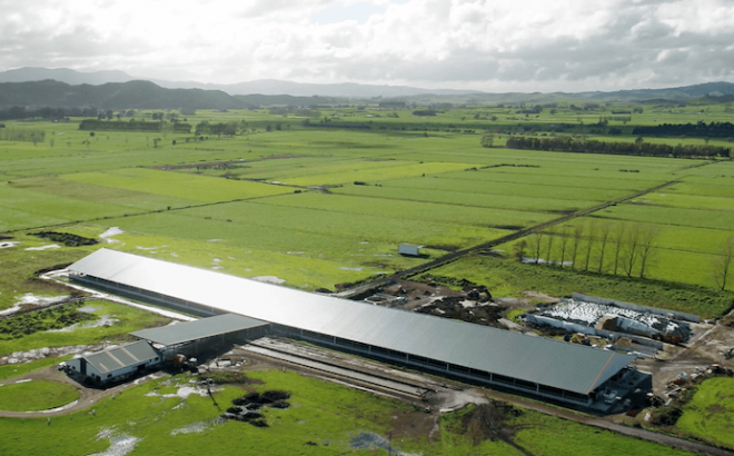 Waikato Dairy Barn System Birds Eye View