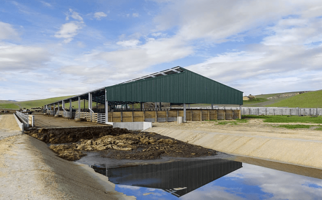 wintering sheds image 4 Dairy Barn Systems