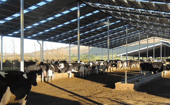 wintering sheds image 3 Dairy Barn Systems