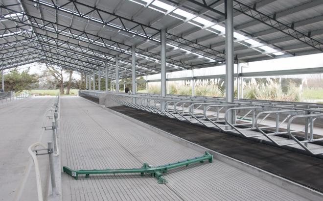 Modern dairy technology - New Zealand dairy barn system