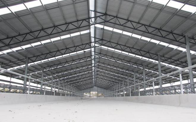 Shelter built for dairy cows