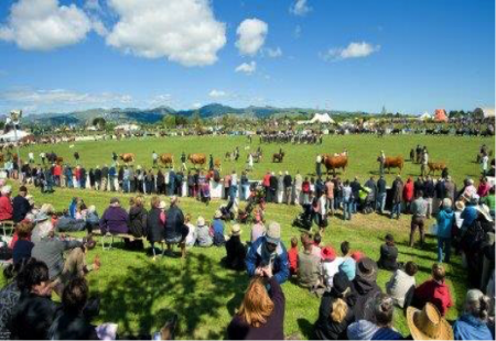 Cantebrury A&P Show 2017 livestock parade