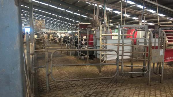 james geddes robotic dairy barn