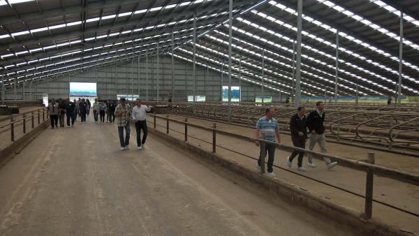 peter collins dairy barn