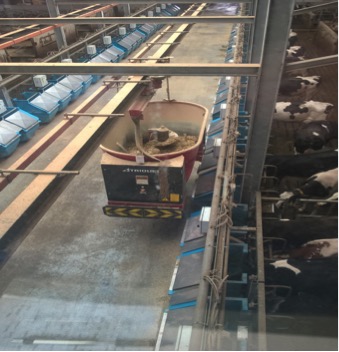automated feed wagon topping up bins